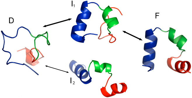 人工智能结构生物学.jpg